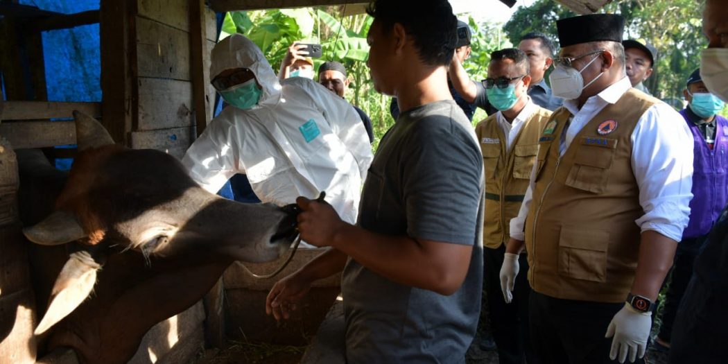 20250109_180349-1050x525